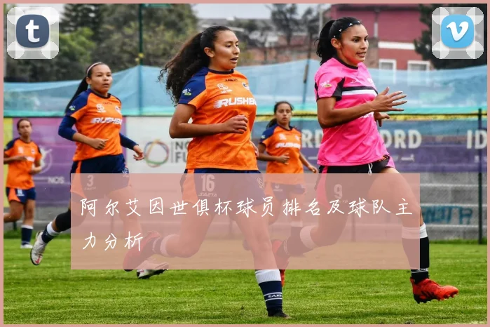 阿尔艾因世俱杯球员排名及球队主力分析