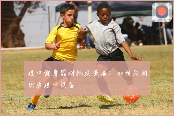 进口健身器材批发渠道：如何采购优质进口设备