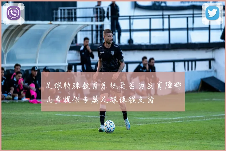 足球特殊教育系统是否为发育障碍儿童提供专属足球课程支持