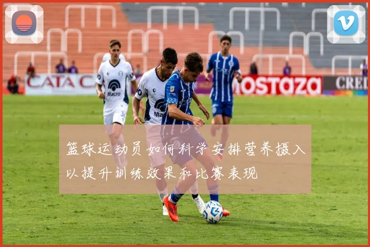 篮球运动员如何科学安排营养摄入以提升训练效果和比赛表现