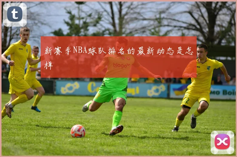 新赛季NBA球队排名的最新动态是怎样