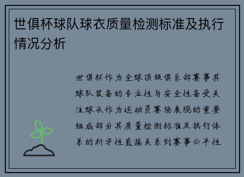 世俱杯球队球衣质量检测标准及执行情况分析